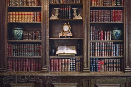 Куплю книги довоенные дореволюционные советские